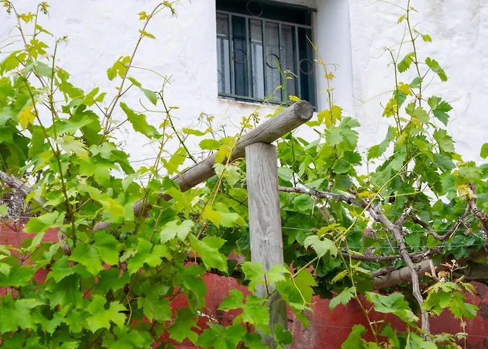 Apartamento Los Lirios