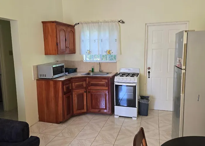 Wizzy Apartment White River