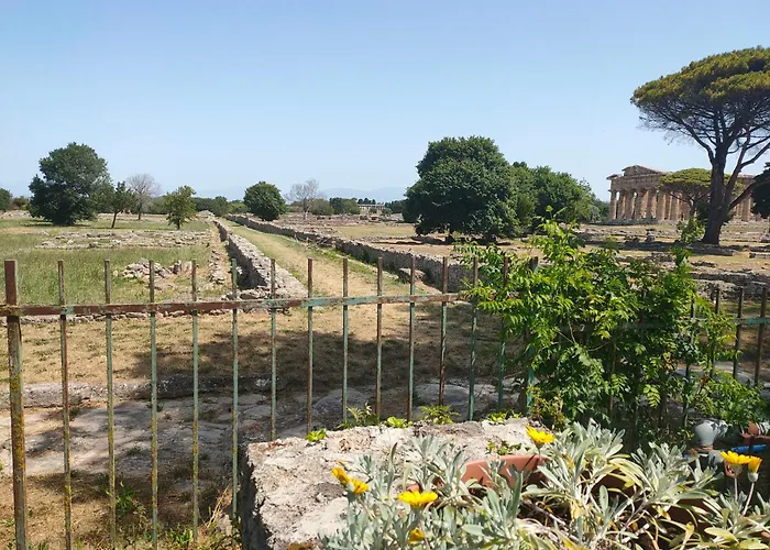 Il Giardino Di Athena 1