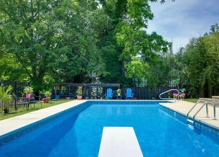 Swimming Under The Stars In The Historical District
