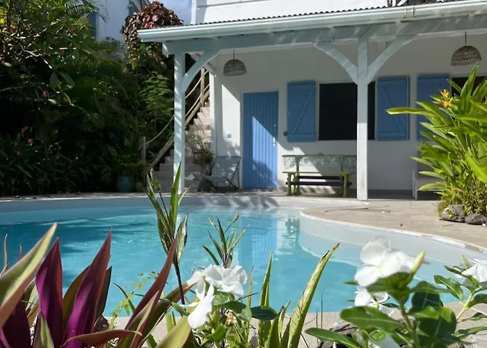 Ti Coin De Paradis Frangipanier