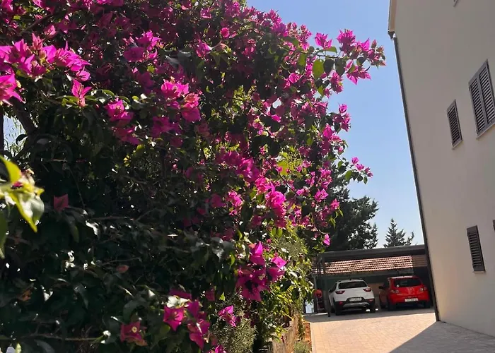 Apartmani La Barquera