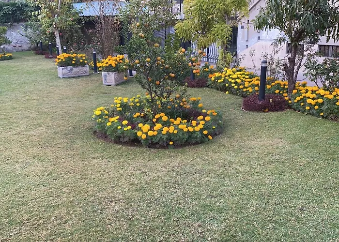 La Maison Islamabad