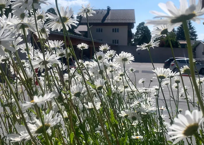 Haus Anna