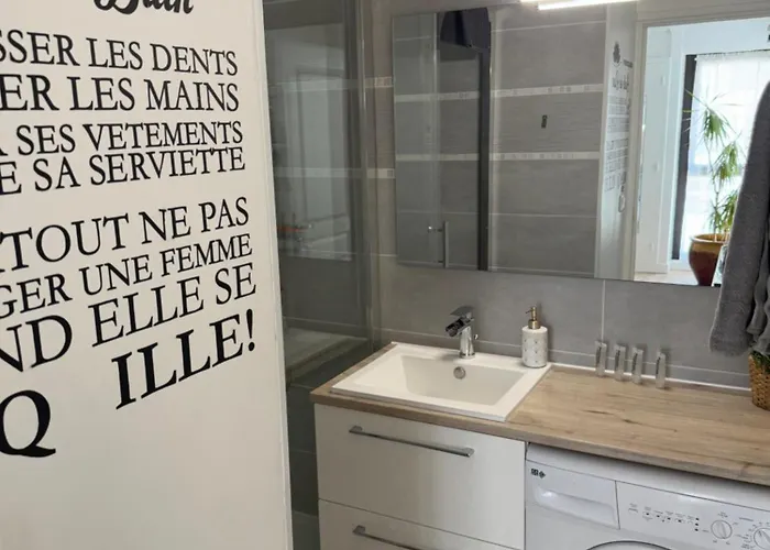 Appartement 40 M2 Climatise Au Centre Ville De Lgm