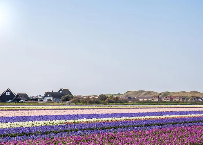 Appartement Duenenblick - Residence Juliana Julianadorp Aan Zee