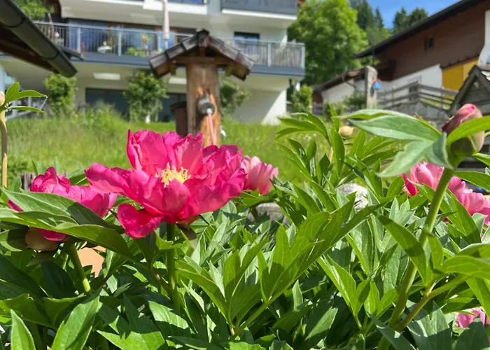 Appartement Germann