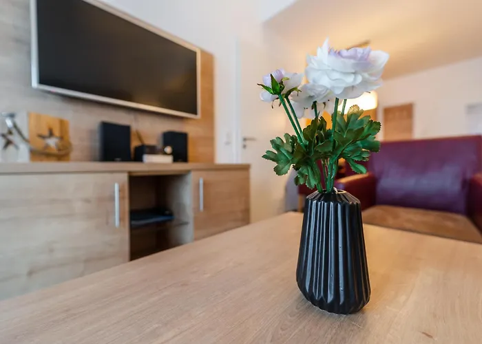 Apartment 311
