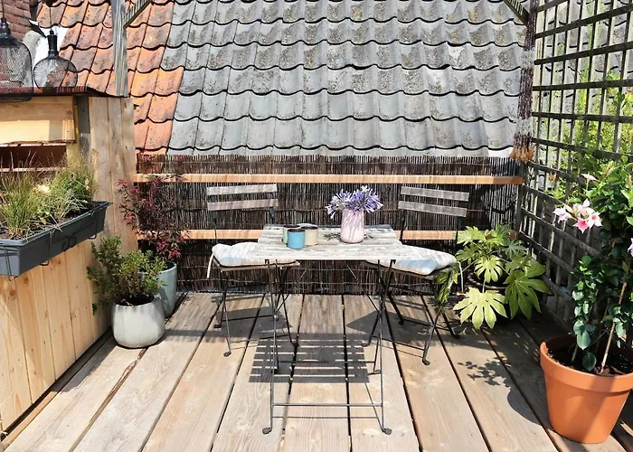 Ruim Appartement Met Terras Rustig Gelegen, Centrum Bergen