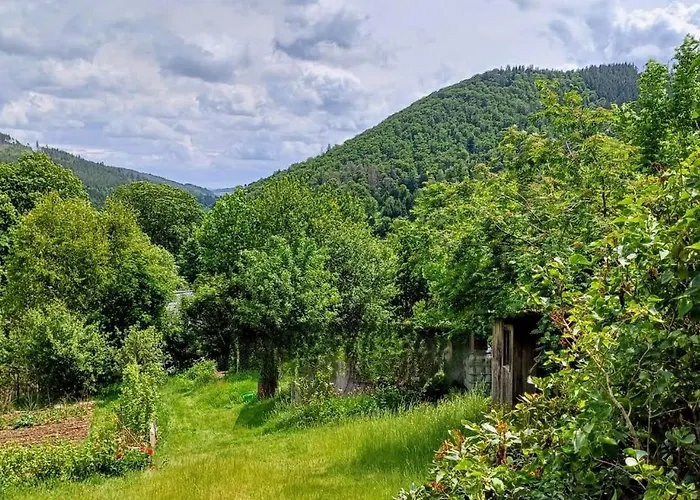Ferienhuette Ilmtalblick