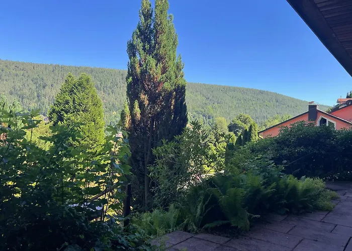 1-Zimmer Appartement Mit Talblick