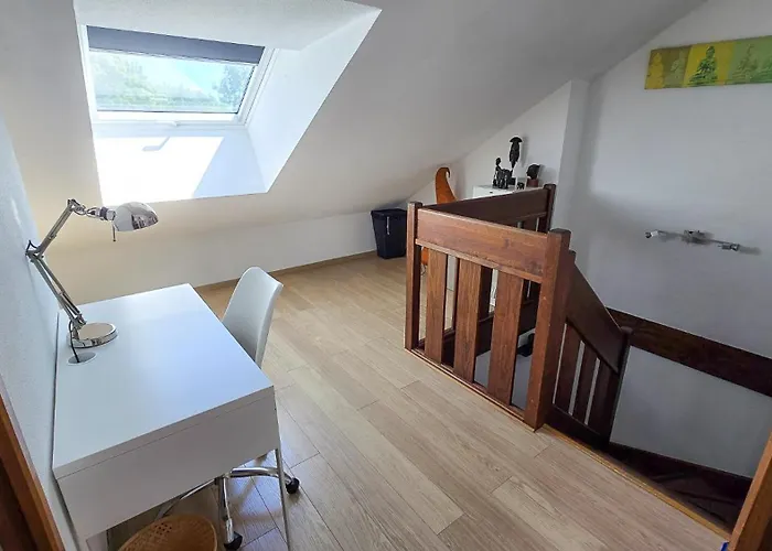 Duplex A 2 Pas De L'Aeroport, Proche Onu & Palexpo
