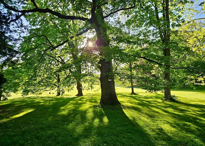 Licht+Luft, Wohnen Auf Zeit