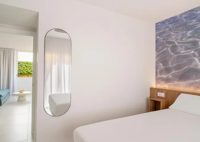 Albir Experience
