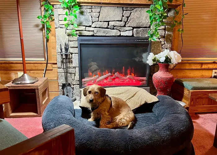 Seven Springs Hideaway Ski In And Out Pet Friendly
