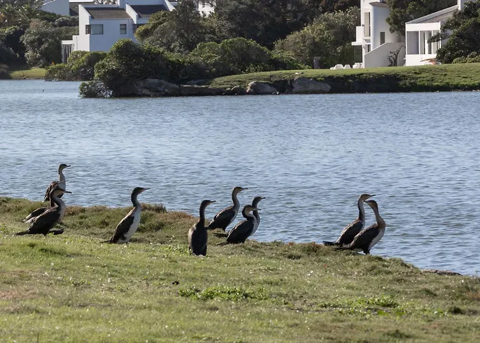 Vlei Cove Guesthouse