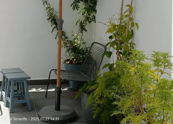 Cotufa Garden