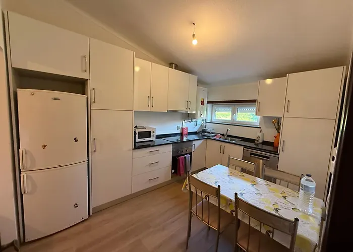 Cepas Do Salgueiral - Guest House - Apartamento Centro De Tondela