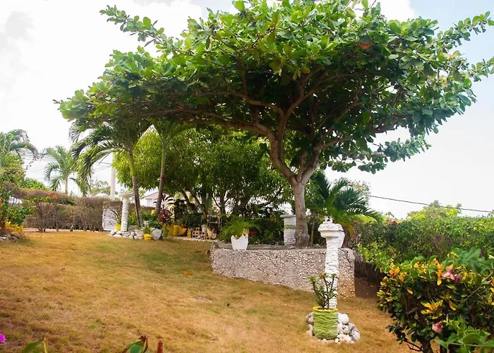 Cindy'S Garden Stay