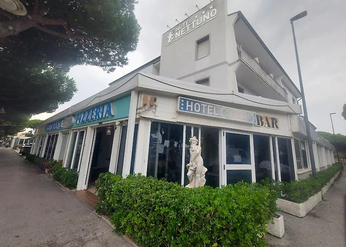 Hotel 3 stelle: Hotel Nettuno