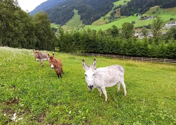 Viehhofgut