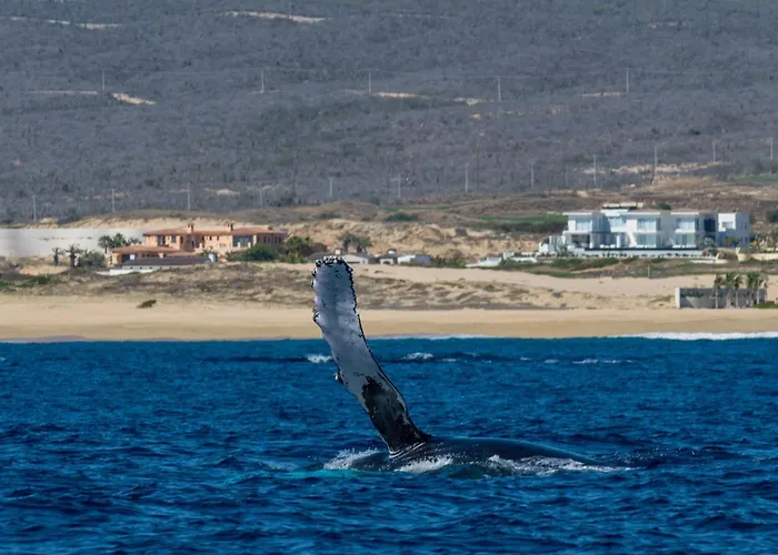 Baja Tranquilo - Villas Cerritos