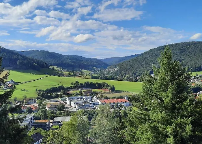 Schwarzwaldstuebchen "Gran Vista" Mit Schwimmbad
