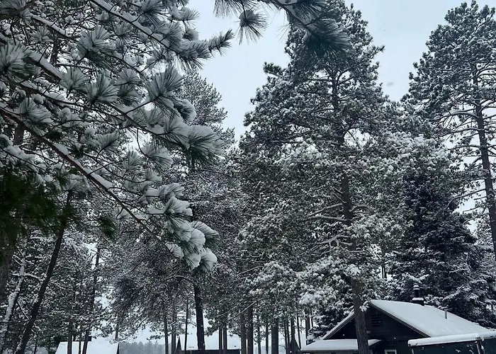 Cedaroma Lakeview Cozy Cabin 6 Amazing Views