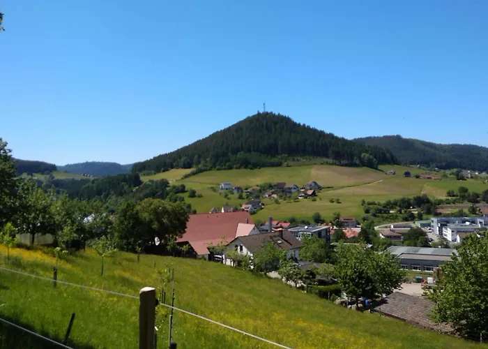 Schwarzwaldstuebchen "Gran Vista" Mit Schwimmbad