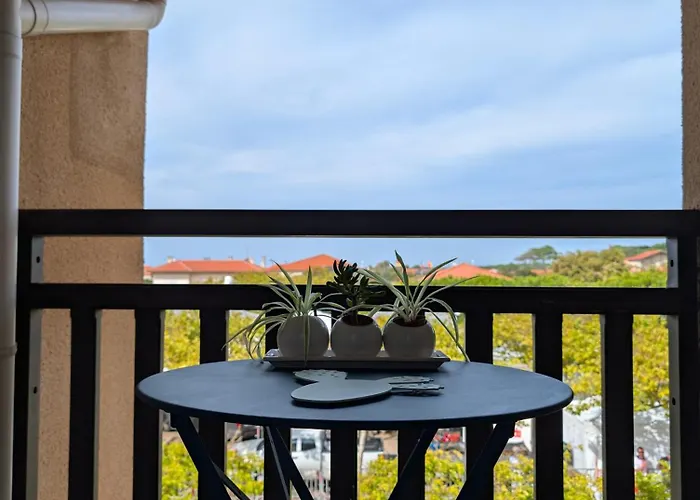 Appartement T2 Biscarosse Plage