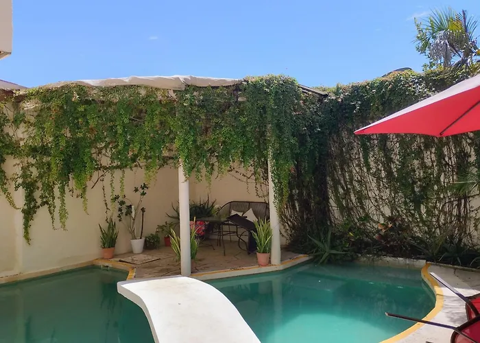 B&B only: Bed And Breakfast Pecari