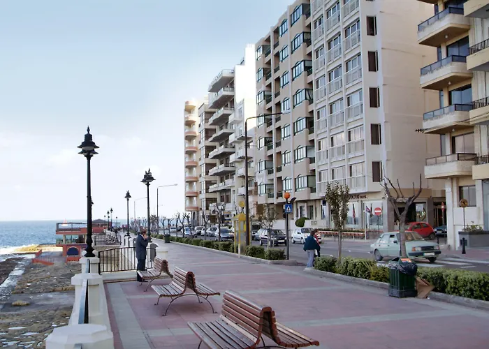 Diplomat (Adults Only)