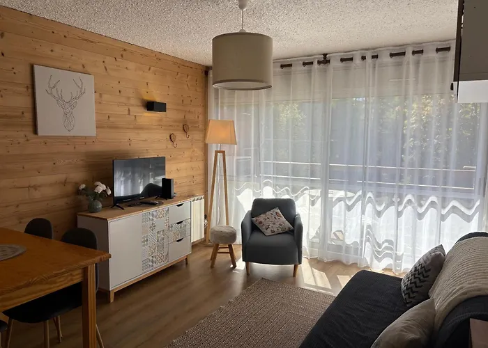Studio De 32 M2 Pour 3 Personnes Pied Des Pistes Lits Faits Serviettes Fournies