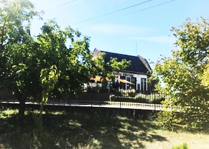 A Festo Vendeghaza / The Painter'S Guest House