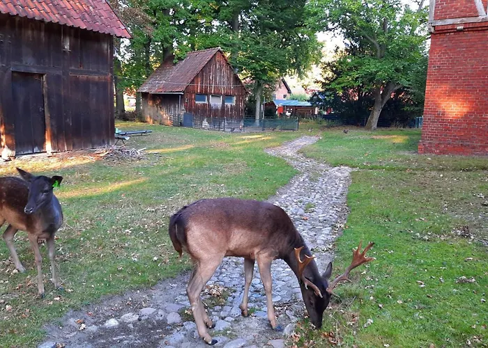 Gemuetliche Ferienwohnung Am Wildgehege