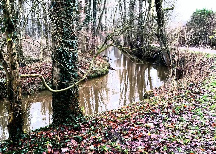 Hemich-Esch