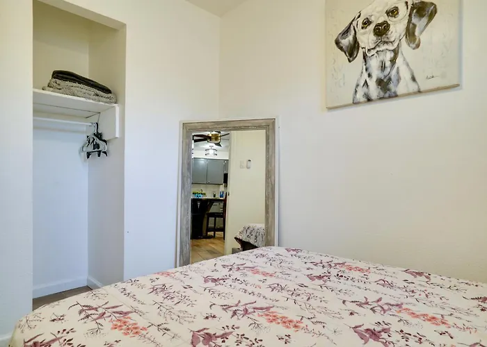 Pet-Friendly El Paso Apt By Hospital & Zoo