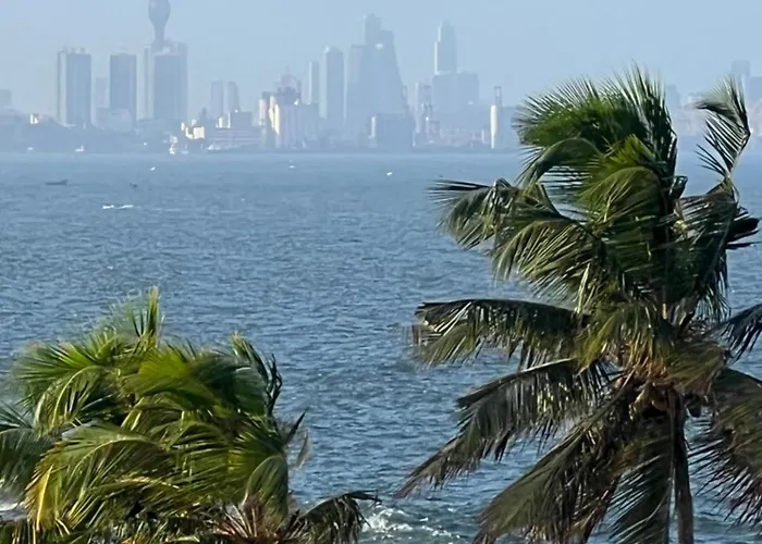 Sandora Living