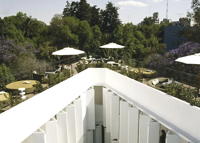 Condesa Df, Mexico City, A Member Of Design s