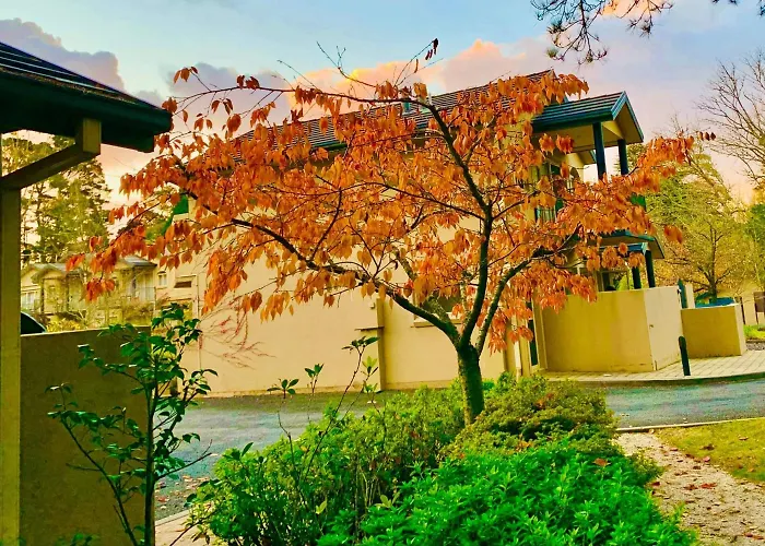 Falls Mountain Retreat Blue Mountains