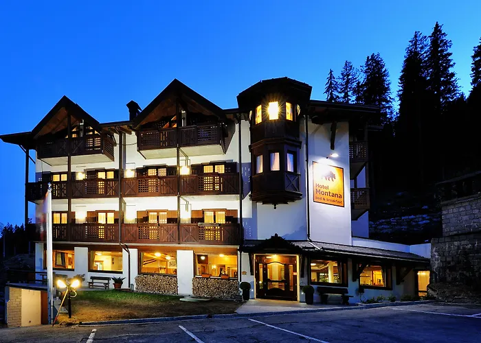 Hotel Montana