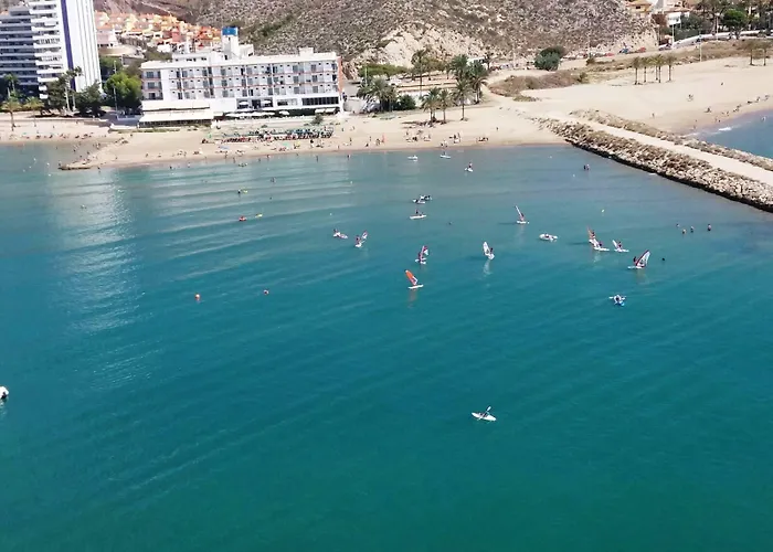  Sicania