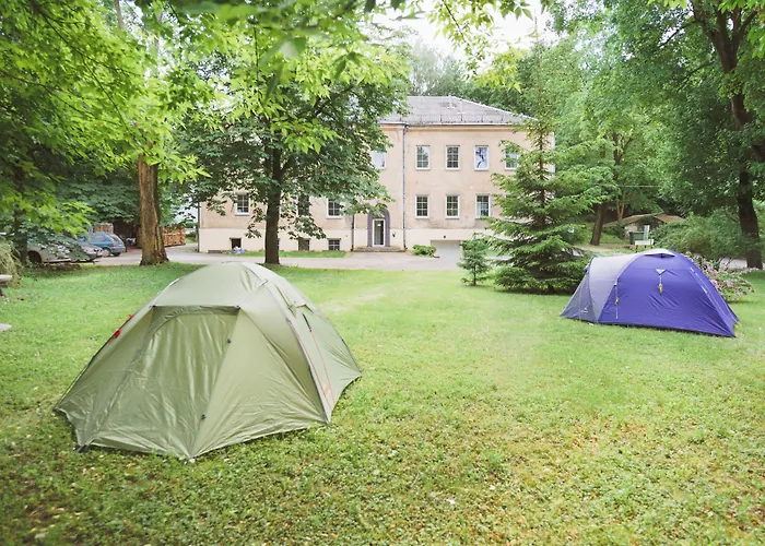 Downtown Forest Hostel & Camping