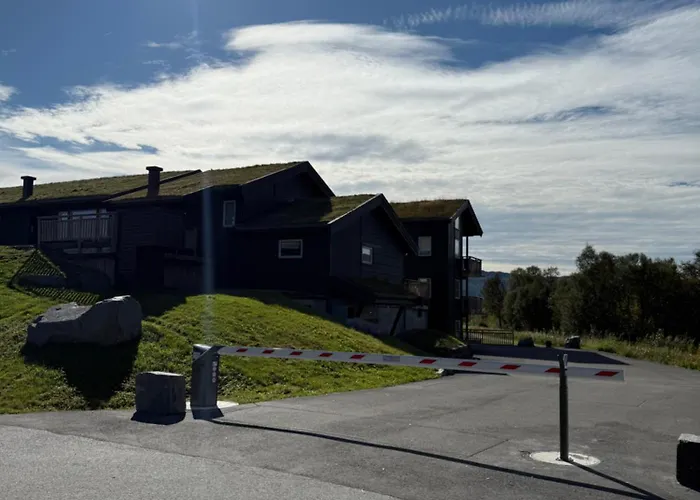 Nice Apartment On Geilotunet, Close To City Center