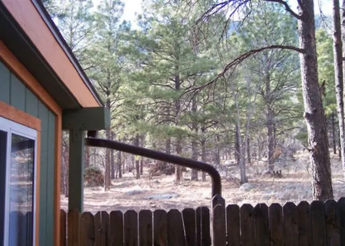 Elden Trails Bed And Breakfast