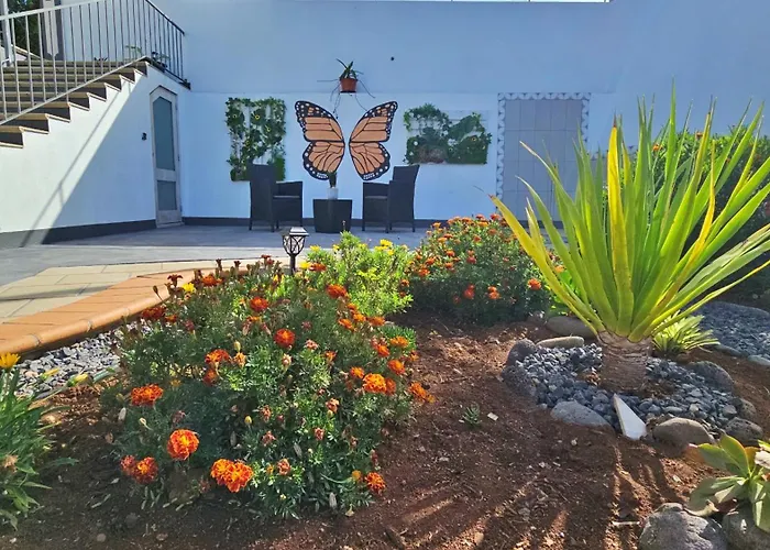 Lower Floor In Flor Do Campo - Santana