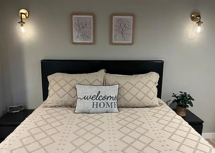 Delightful Studio