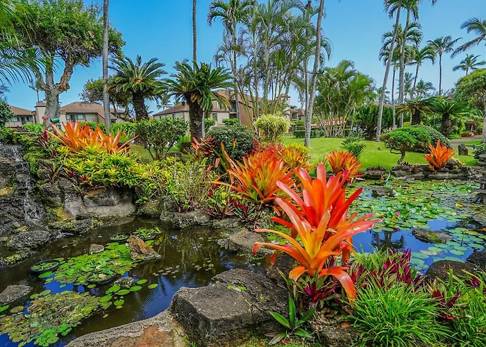 Pono Kai Resort J101