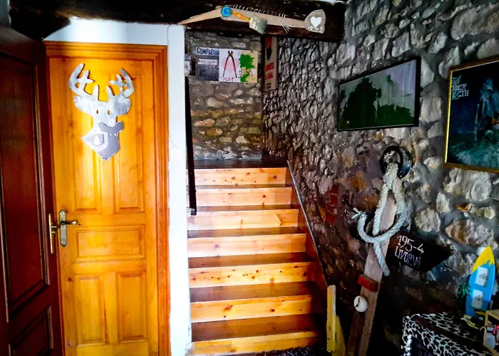Surftolive House