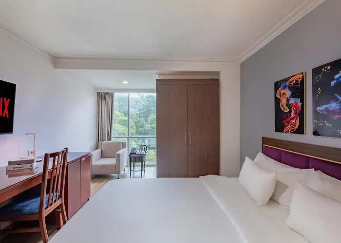 Dog friendly hotels 